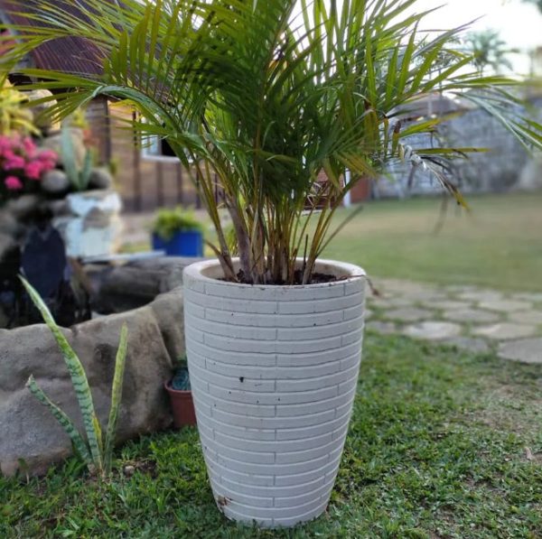 Vaso Plástico Cônico Tijolinho 47 - Imagem 7
