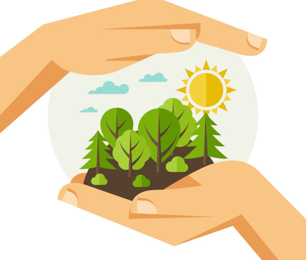 A importância das mulheres na conservação do meio ambiente A importância das mulheres na conservação do meio ambiente