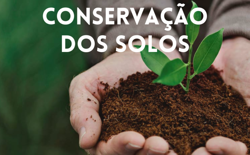 Conservação dos solos: você conhece a sua importância? Conservação dos solos: você conhece a sua importância?
