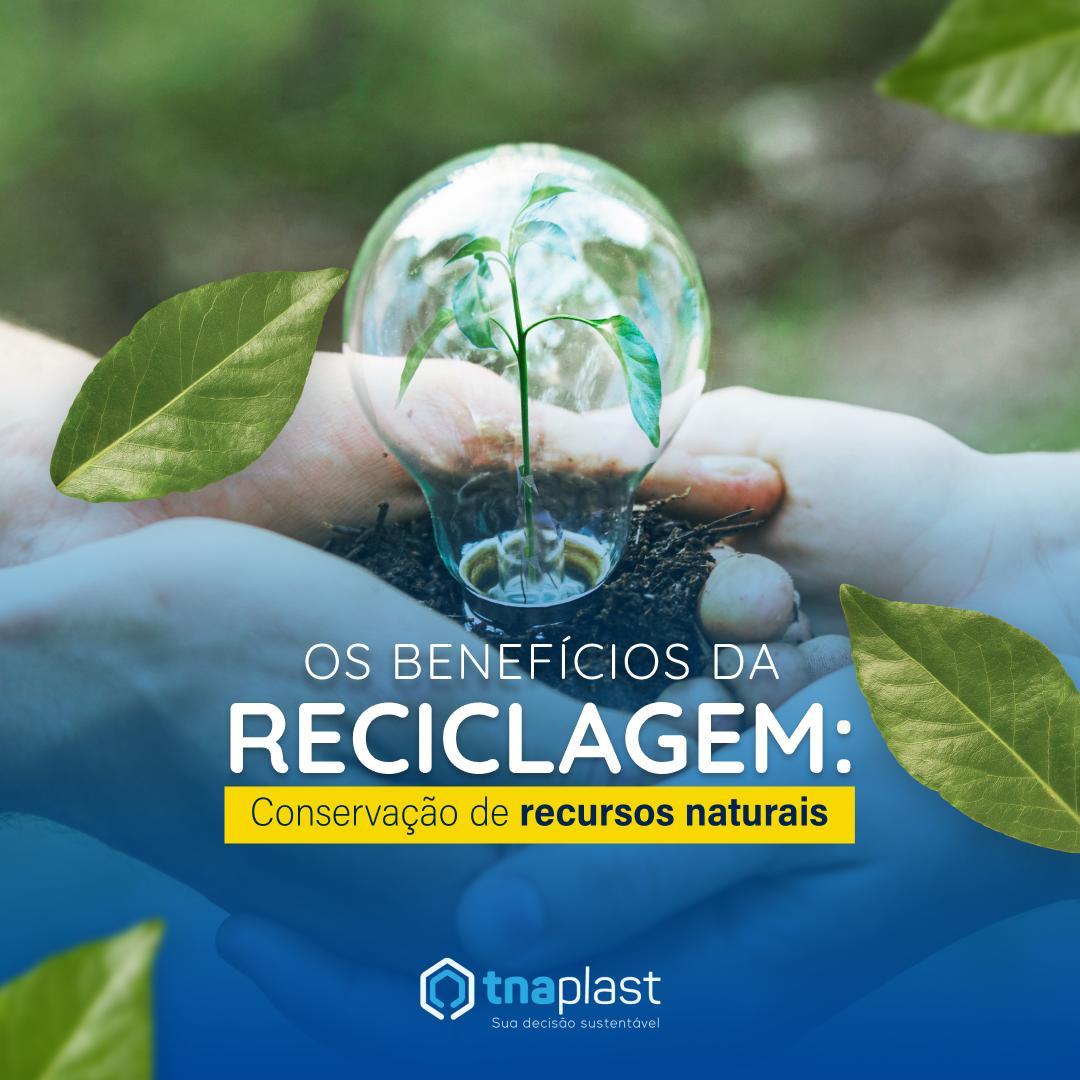 Os benefícios da reciclagem: conservação de recursos naturais