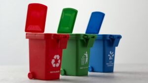 Diferença Entre Lixeira Comum e Lixeira de Coleta Seletiva